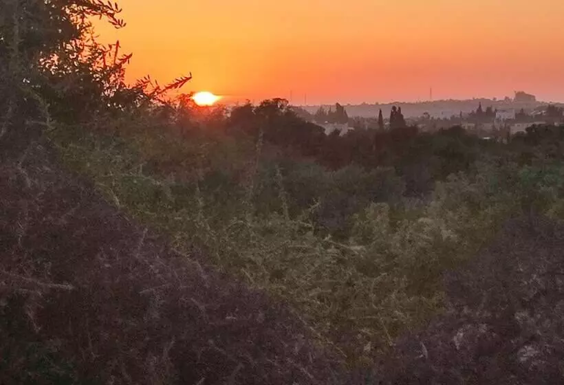 Majatalo Riad Bini Ddik