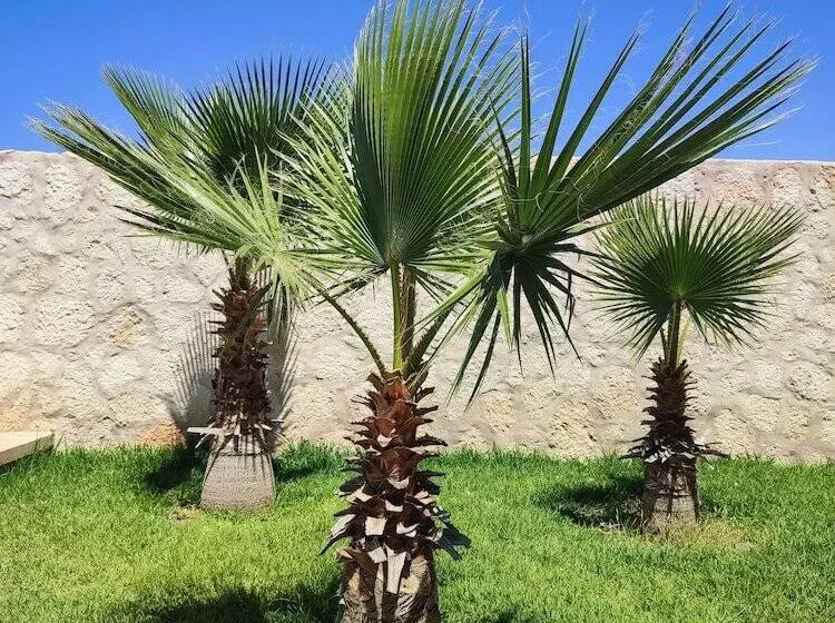 Majatalo Riad Bini Ddik