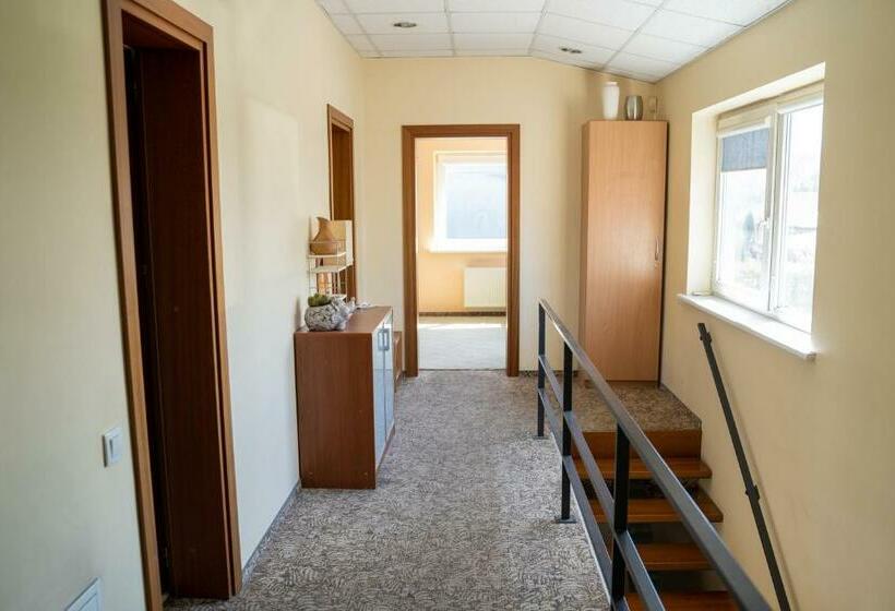 پانسیون Romainiai Guest House