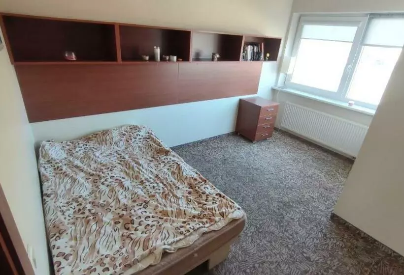پانسیون Romainiai Guest House