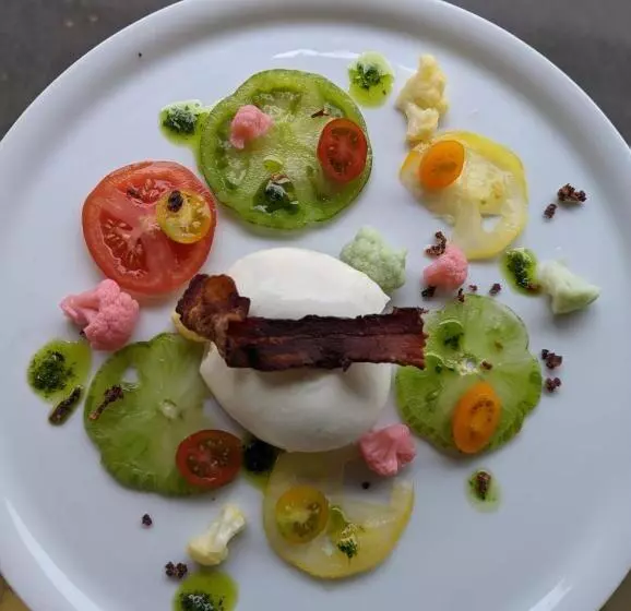 Hôtel Restaurant Platanes   Kb Hotel Group