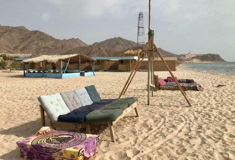 هاستل Baywatch Camp