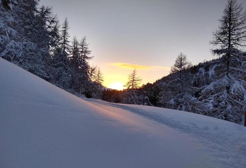 ペンション Ivy Cottage Bed And Breakfast