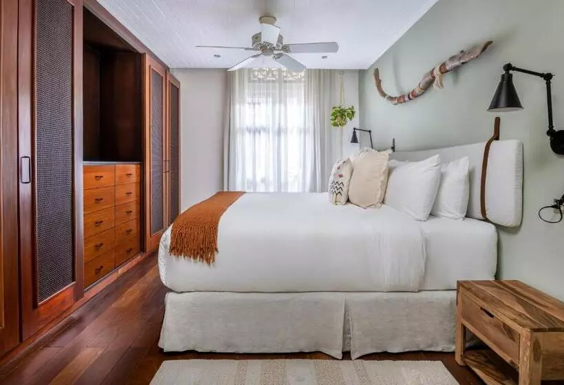 Casa Mallet By Wynwood House