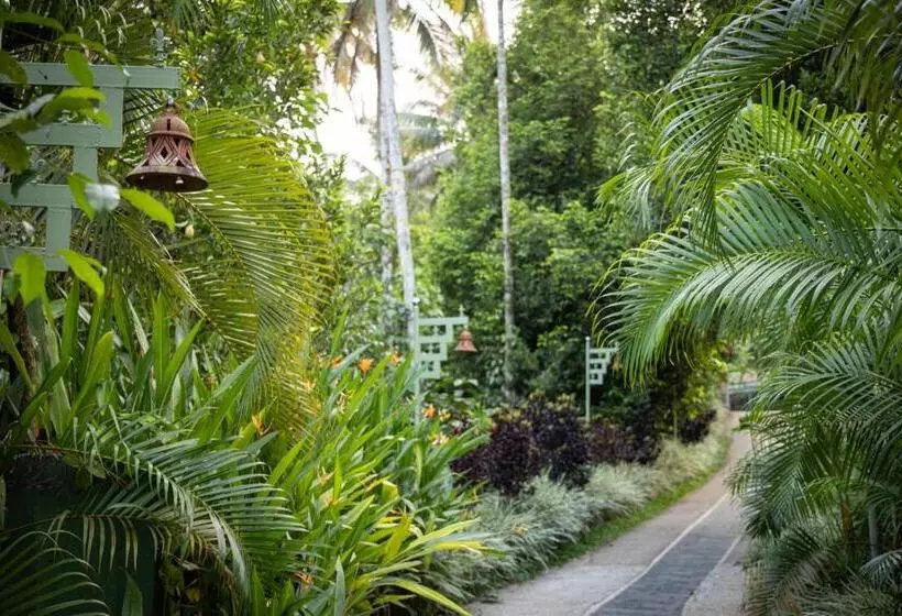 Majatalo Fab   Bamboo Hut With Open Shower