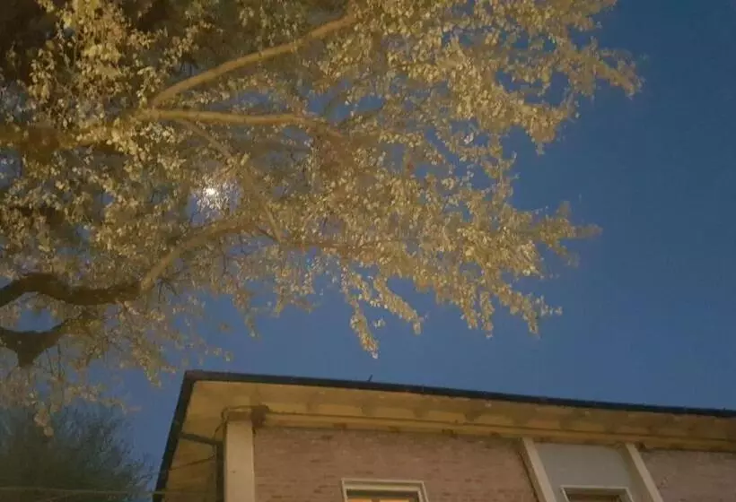 Aamiaismajoitus (B&B) Il Giardino Home