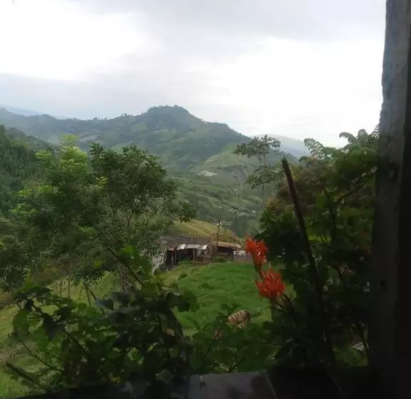 هتل Las Hamacas