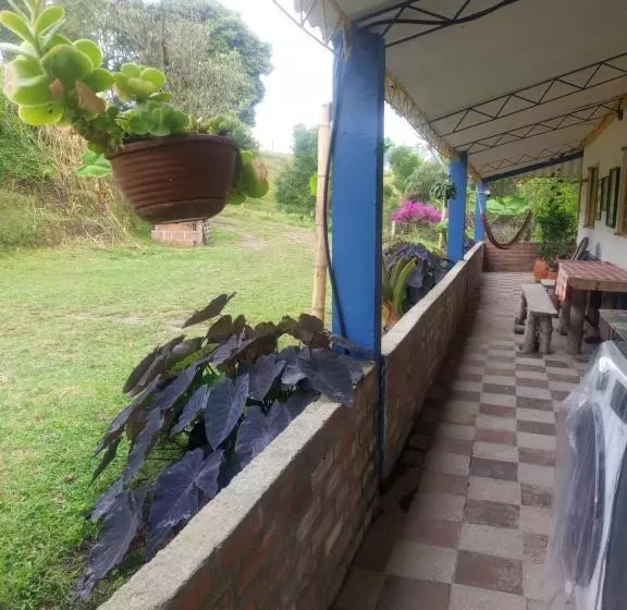 هتل Las Hamacas