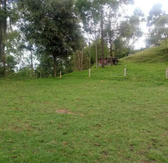 هتل Las Hamacas