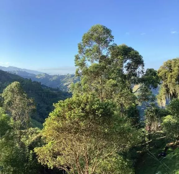 هتل Las Hamacas