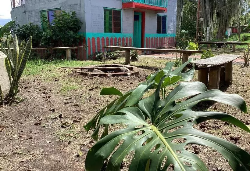 هتل Las Hamacas