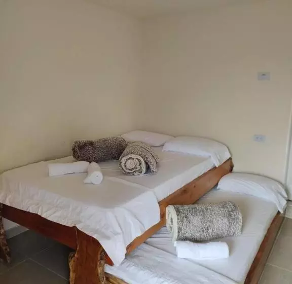 ペンション Hostal Casa Madrigal