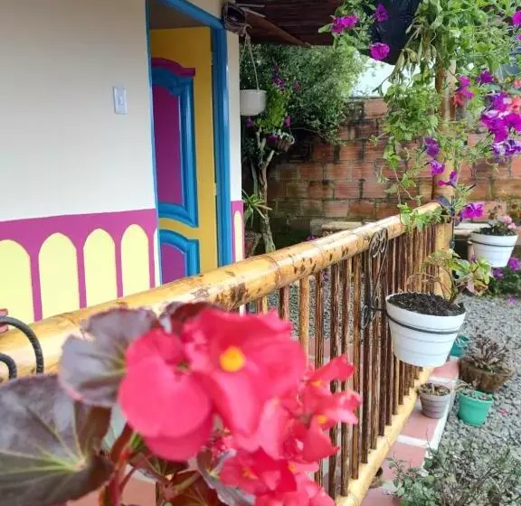 ペンション Hostal Casa Madrigal