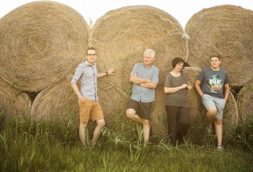 Bed and Breakfast Arkadenweingut Gästehaus Heiss