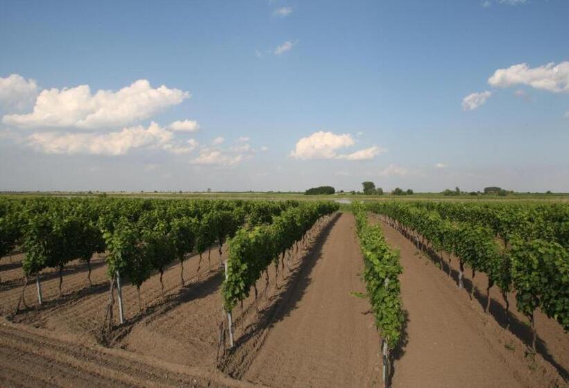 Bed and Breakfast Arkadenweingut Gästehaus Heiss