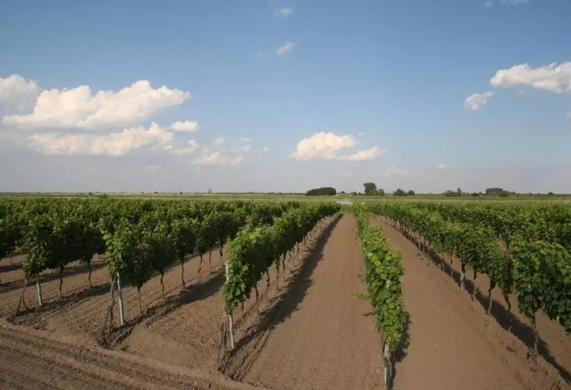 ベッドアンドブレックファースト Arkadenweingut Gästehaus Heiss