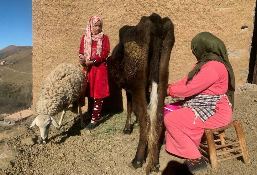 Into The Wild Hostel