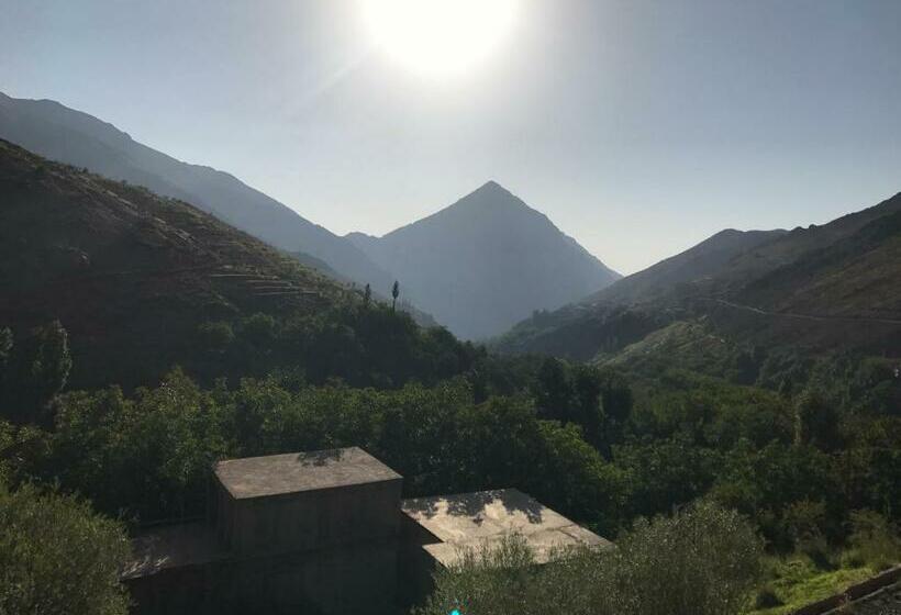 Into The Wild Hostel