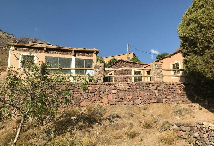 Into The Wild Hostel