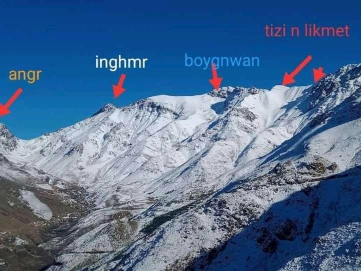 Into The Wild Hostel