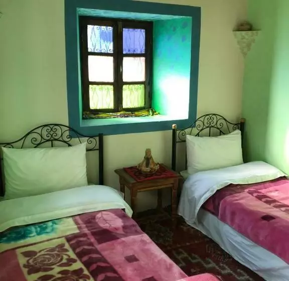 Into The Wild Hostel