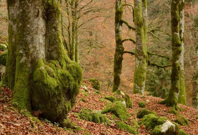 ペンション Agribed Quierta   Camerette