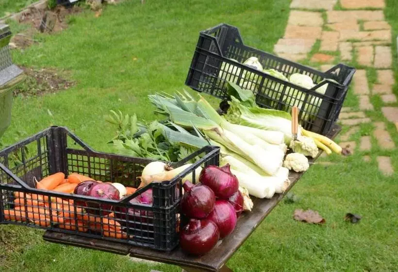 ペンション Agribed Quierta   Camerette