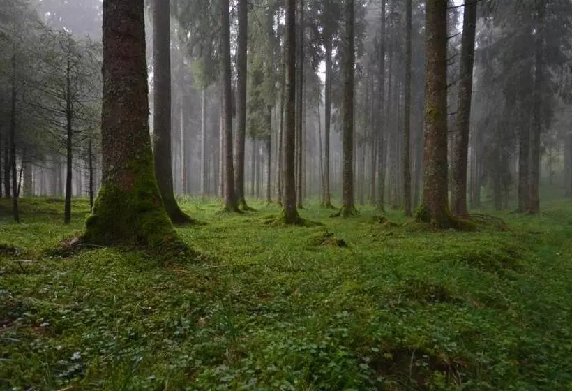 ペンション Agribed Quierta   Camerette