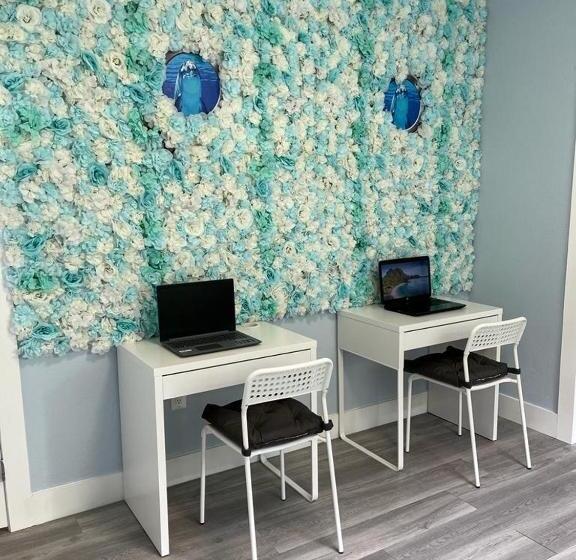 הוסטל Blue Little Havana