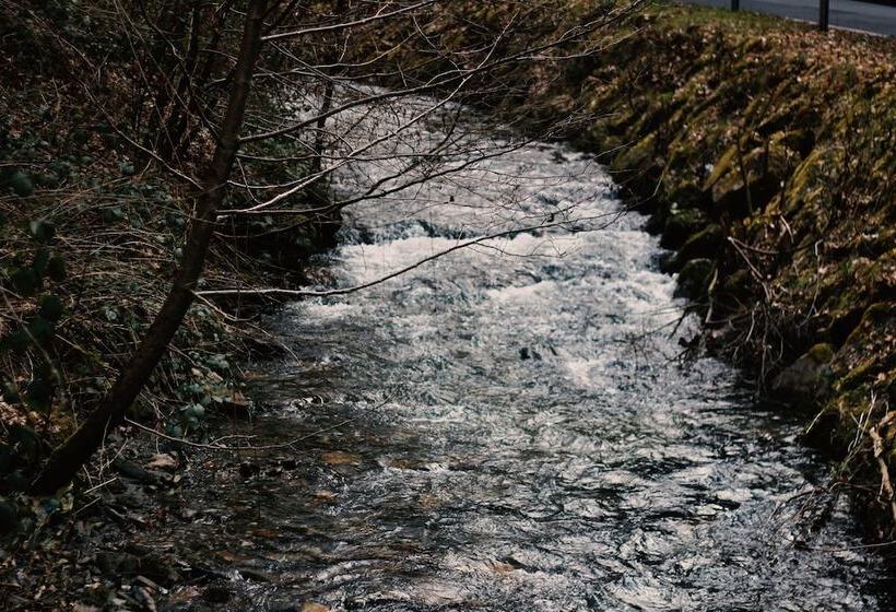 בית מלון כפרי Acron Traben Trarbach