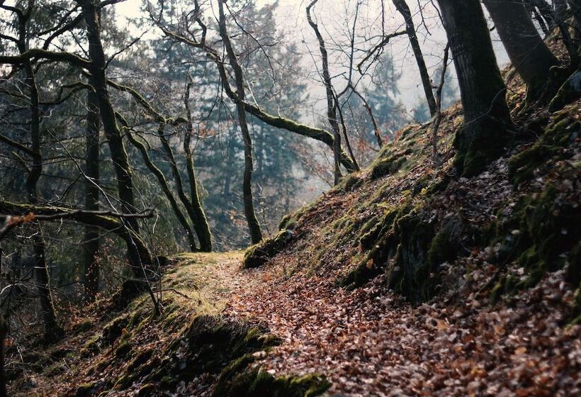 בית מלון כפרי Acron Traben Trarbach