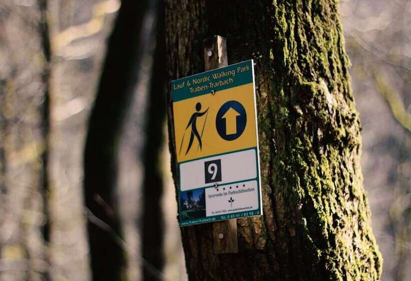 בית מלון כפרי Acron Traben Trarbach