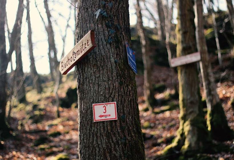 בית מלון כפרי Acron Traben Trarbach