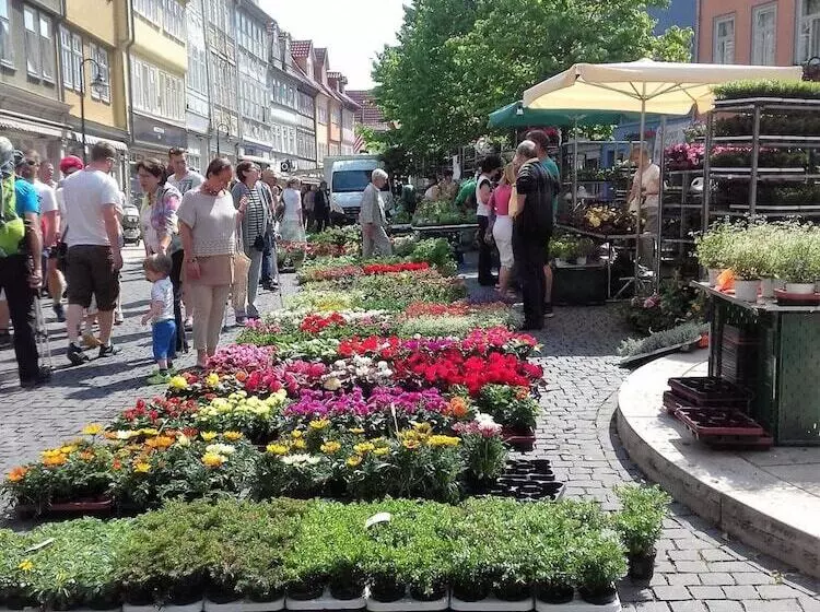 Hotelli Bad Langensalza Eichenhof