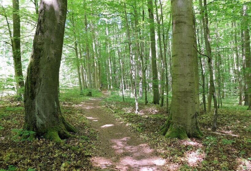 酒店 Bad Langensalza Eichenhof