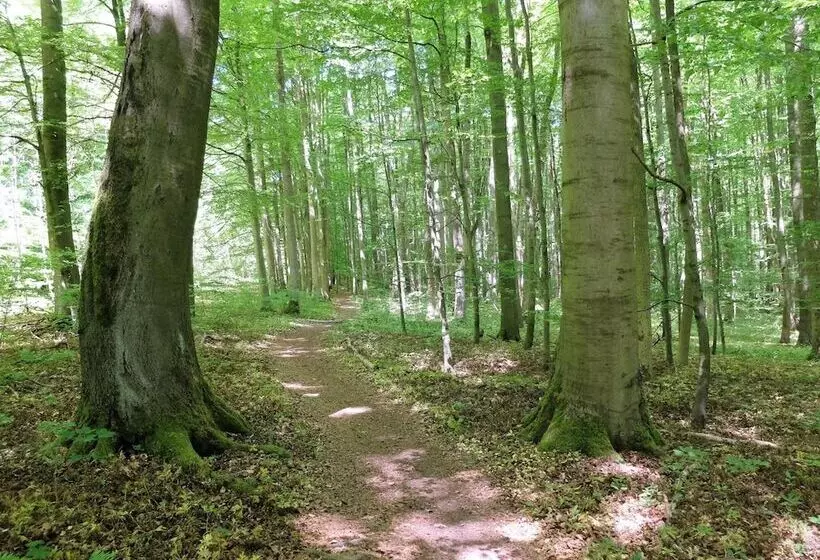 Hotelli Bad Langensalza Eichenhof