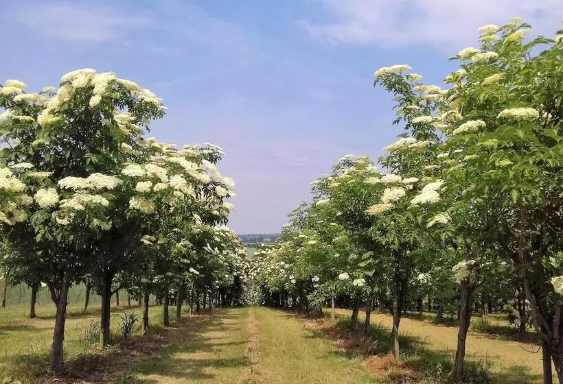 Hotelli Bad Langensalza Eichenhof