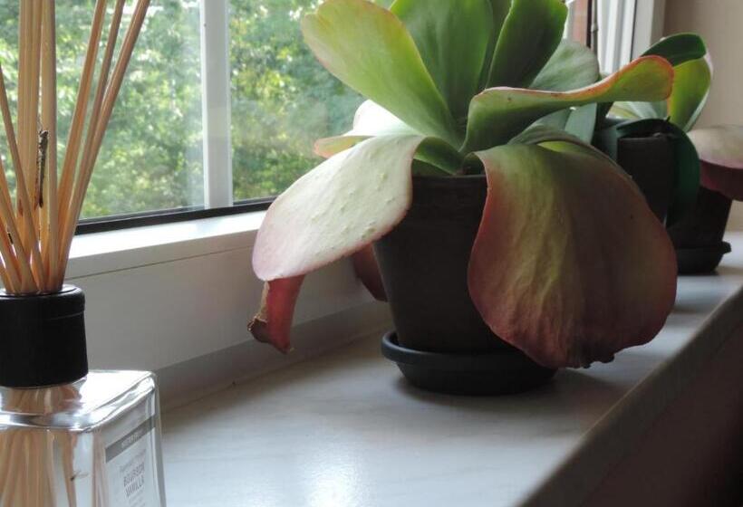 Отель Carl Von Clausewitz