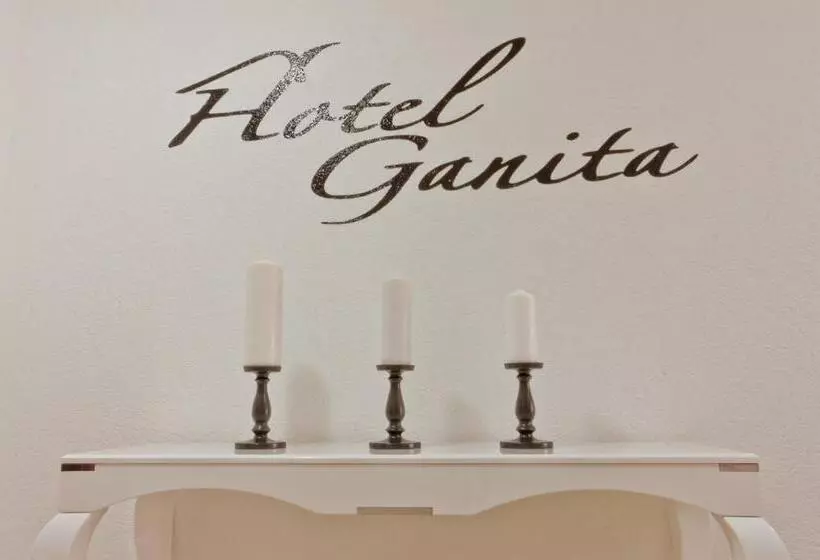 ホテル Ganita Weil Am Rhein