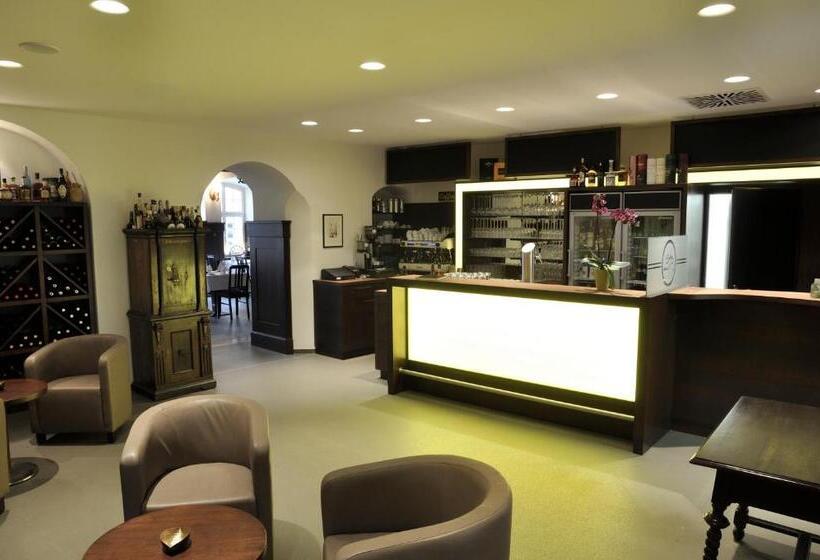酒店 Gasthaus Alte Münze