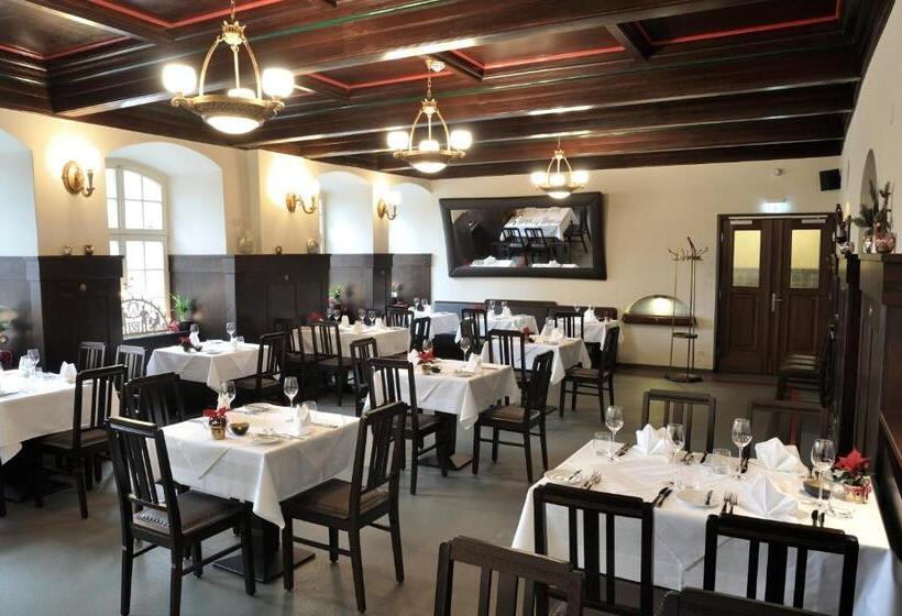 酒店 Gasthaus Alte Münze