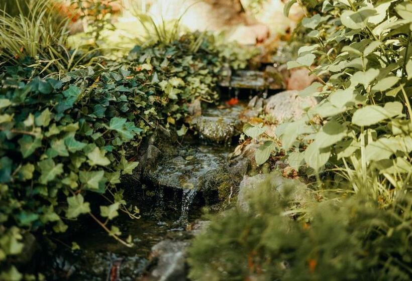 בית מלון כפרי Paulshöhe