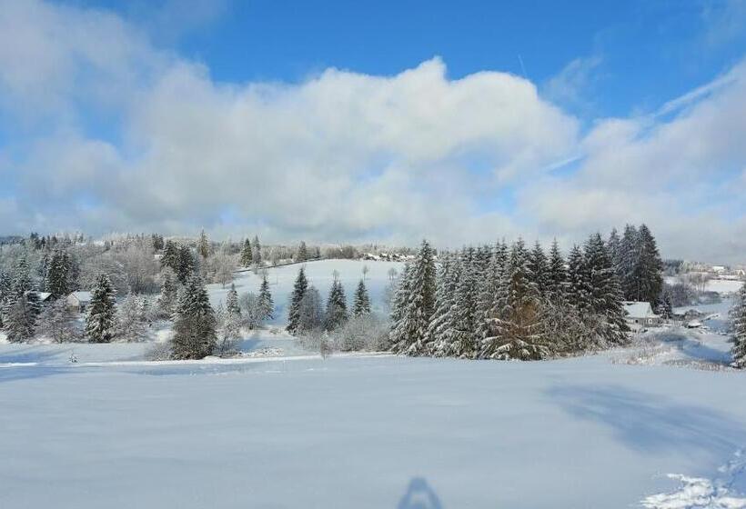 בית מלון כפרי Pension Holl Und Boll Am Hexenstieg