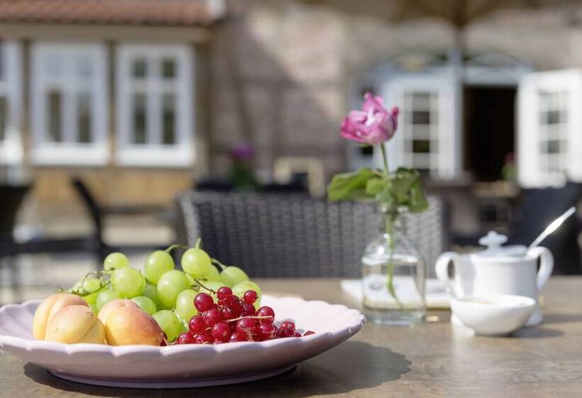 Hotel Schmucke Witwe