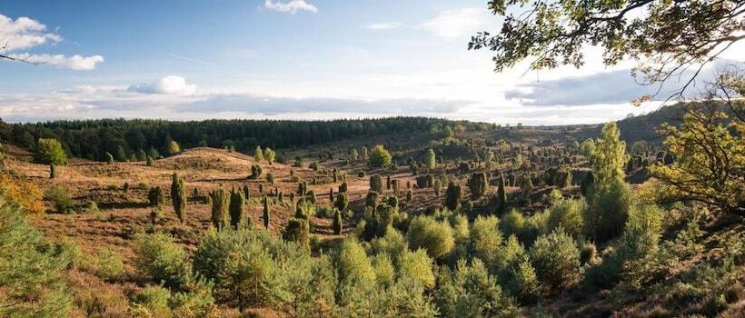 Hotel Schmucke Witwe