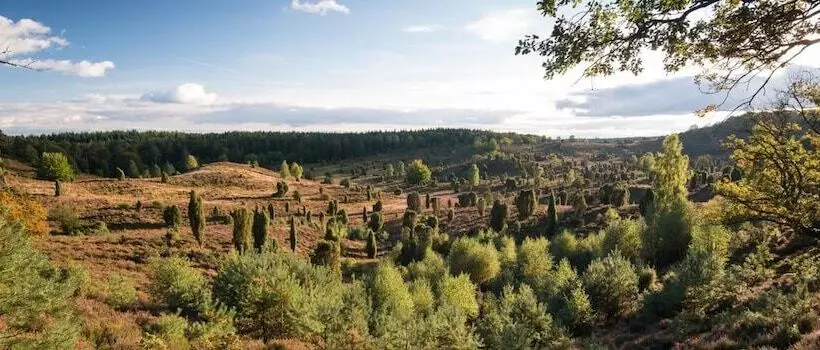 ホテル Schmucke Witwe