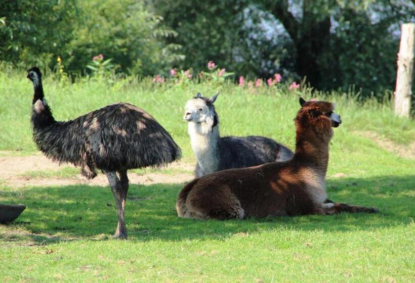 فندق Thormählen