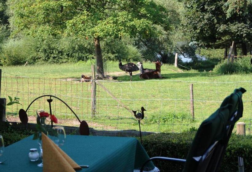 فندق Thormählen