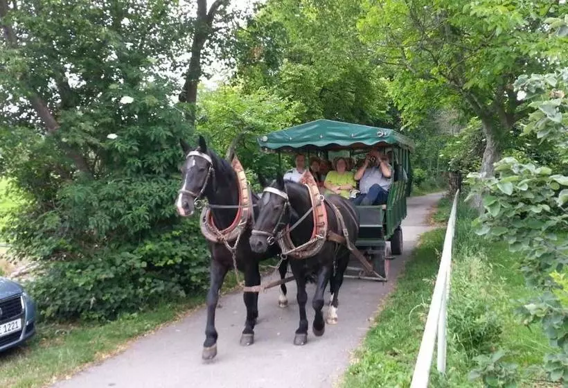 Hotelli Grober S Reiterhof