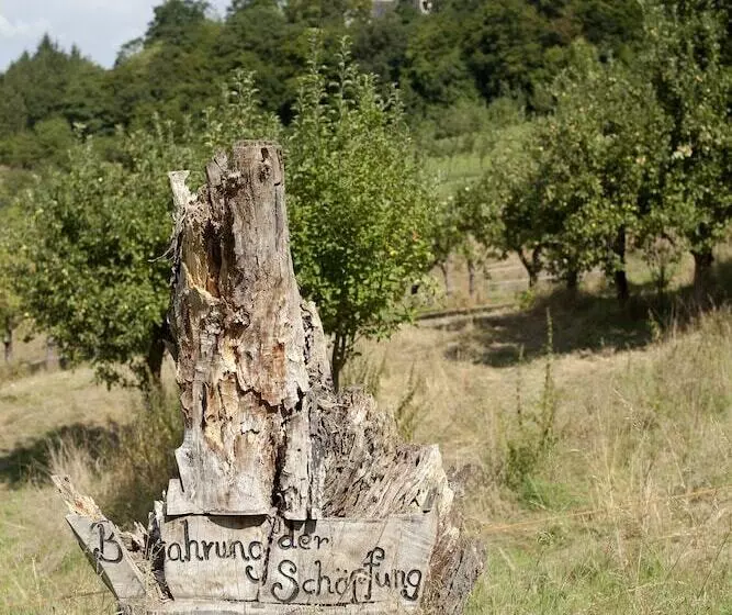 Rosa Flesch Hotel Und Tagungszentrum